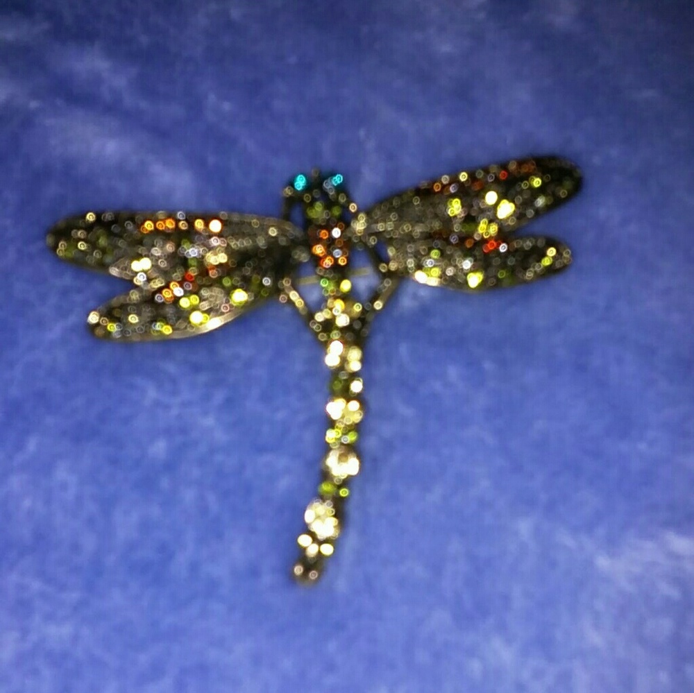 Dragonfly  brooch